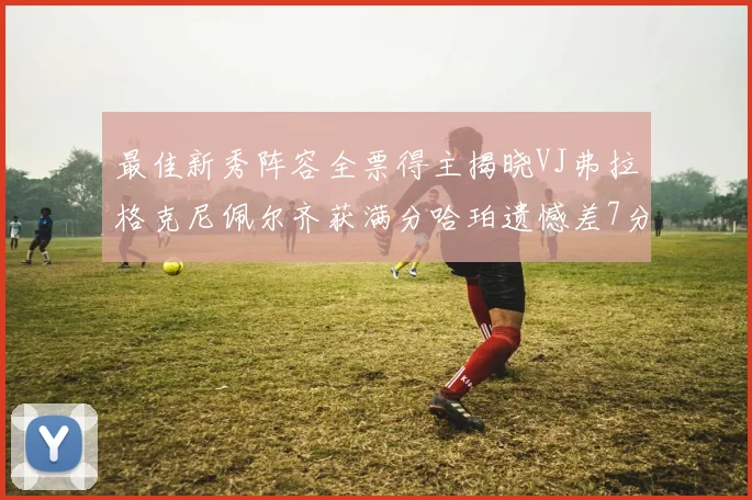 最佳新秀阵容全票得主揭晓VJ弗拉格克尼佩尔齐获满分哈珀遗憾差7分