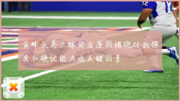 黄蜂交易三球背后原因揭晓对抗强度和硬仗能力成关键因素
