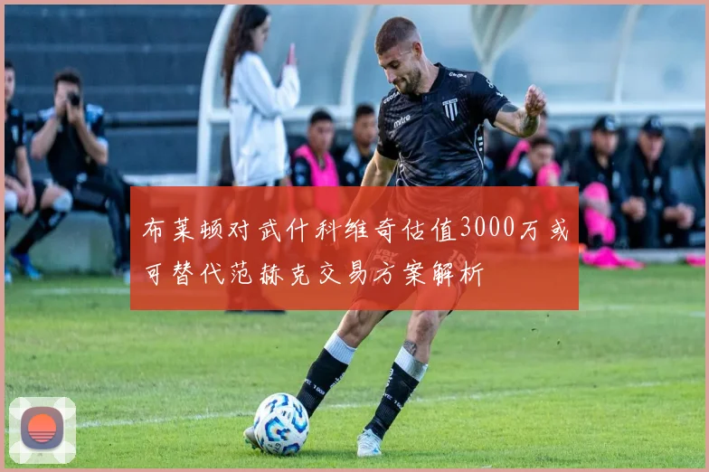 布莱顿对武什科维奇估值3000万或可替代范赫克交易方案解析
